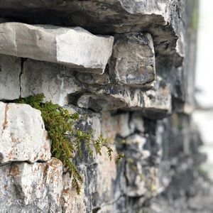 Meet your Posher, Paula